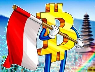 Indonesian Government Is Considering a Bitcoin Reserve