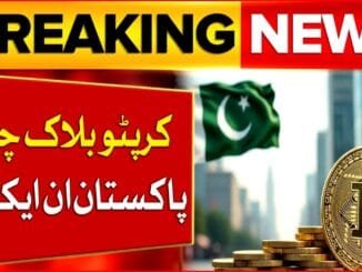 Pakistan Big Action For Crypto blockchain | Pakistan And Kyrgyzstan Relation | BOL News