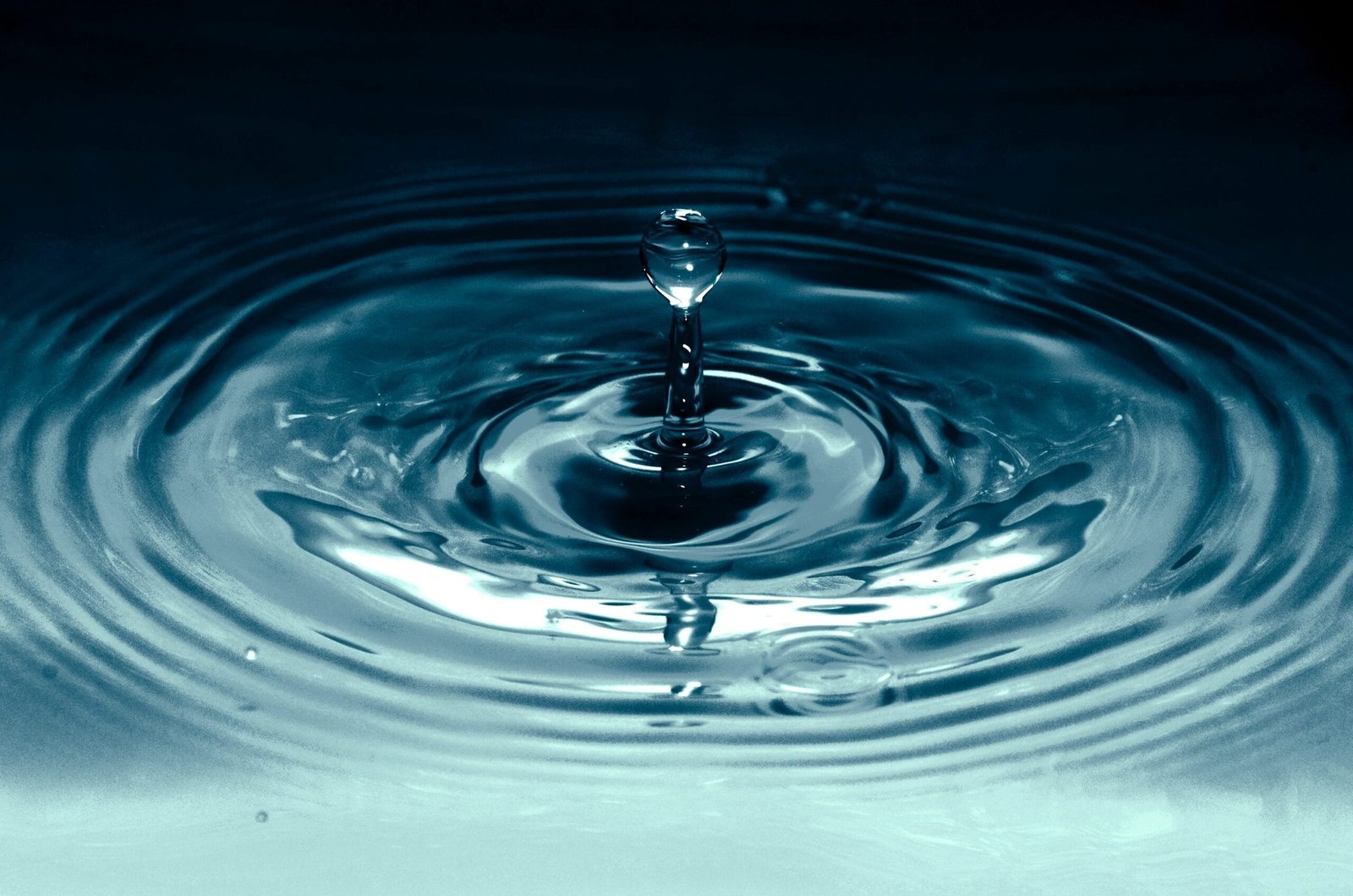 Ripple CTO Jumps Into The Fray After Caitlin Long Bashes XRP With Centralization Claims