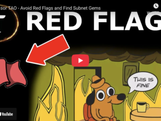 Bittensor TAO - Avoid Red Flags and Find Subnet Gems