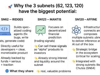 Why the 3 TAO subnets (Ridges, MANTIS, Affine) have the biggest potential