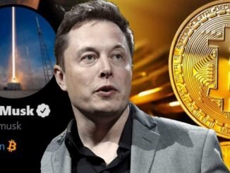 Elon Musk’s X Adds Bitcoin Tipping via BitBit
