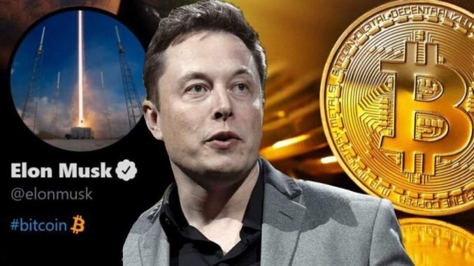taodaily10 Elon Musk’s X Adds Bitcoin Tipping via BitBit