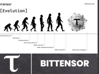 Bittensor Passion: Between a Disruptive Network and the Fight for Freedom