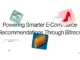 Powering Smarter E-Commerce Recommendations Through Bitrecs