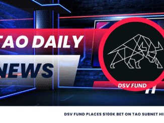 DSV Fund Places $100K Bet on TAO Subnet Hippius