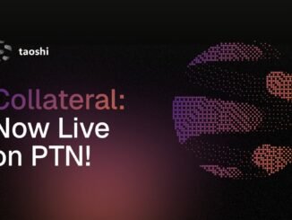 All You Need To Know About Collateral on PTN