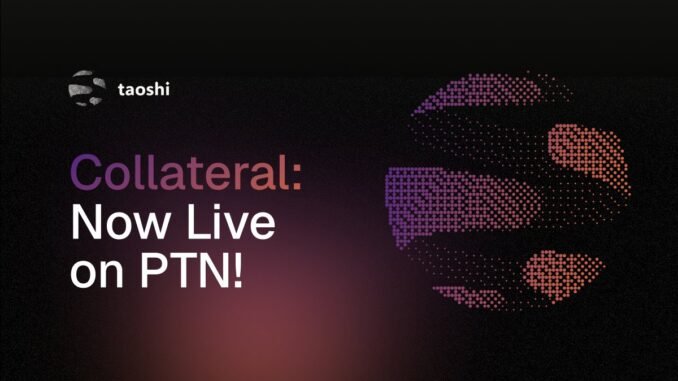 taodaily66 All You Need To Know About Collateral on PTN