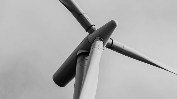 taodaily90 Zeus AI Secures DSV Fund’s $100K to Push Boundaries on Bittensor