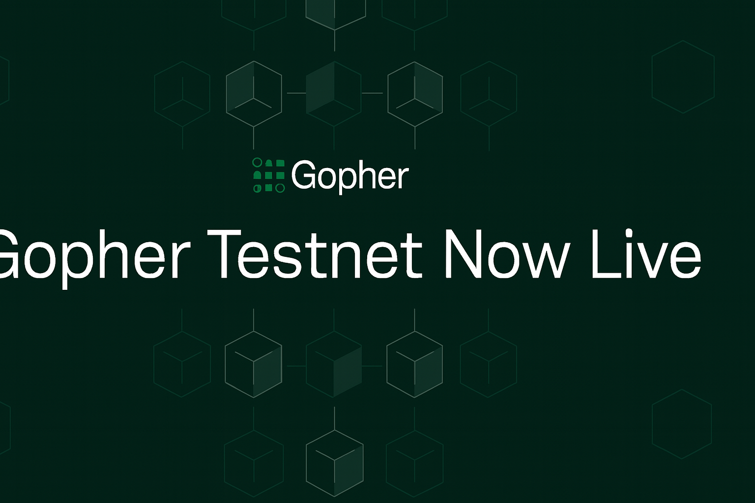 20251002_145218 Gopher Goes Live With Sovereign Layer-1 Blockchain Testnet