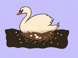 Do, Fail, Learn & Pivot Until You Hit Your Goals...