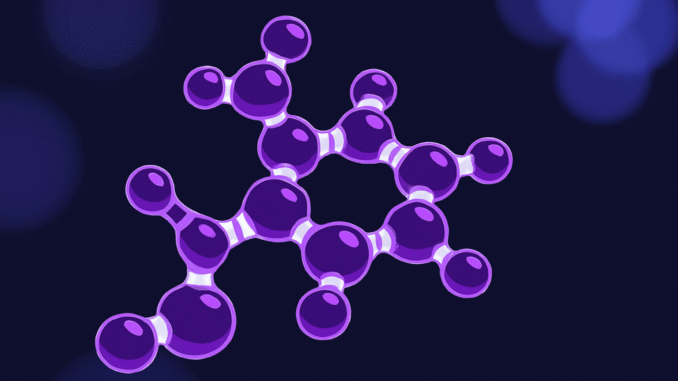 Subnet Magazine Interviews METANOVA Team