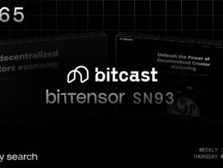 SN93 Bitcast on Bittensor Novelty Search