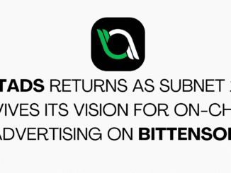 BitAds Returns as Subnet 16