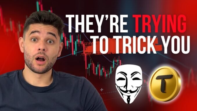 Are We in a $TAO Bear Market and What Should Investors Do Next?