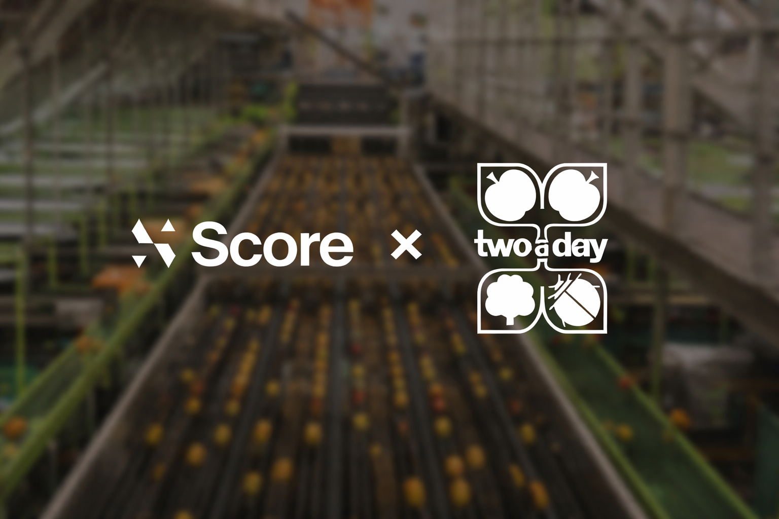 Two-a-Day Partners With Score to Advance Vision AI in Fruit Production