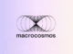 Macrocosmos Launches Apex, The New AI Competition Arena on Bittensor’s SN1