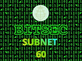 A Man Steps Out of the Shadows, a Network Rises, Subnet 60 - Bitsec