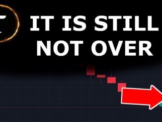 DECEMBER 2025: Bittensor ($TAO) Post Halving Market Update