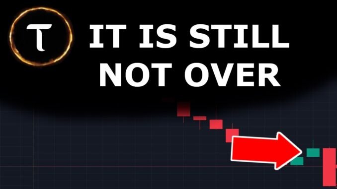 DECEMBER 2025: Bittensor ($TAO) Post Halving Market Update