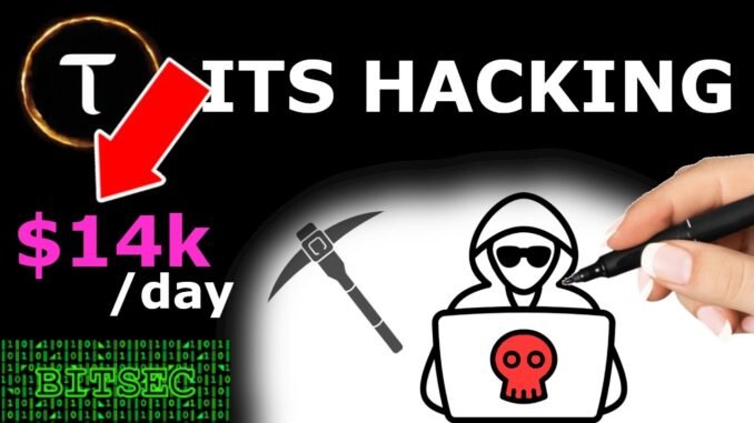 Bitsec 1 TAO Templar Showcase Bittensor’s Subnet 60, Bitsec