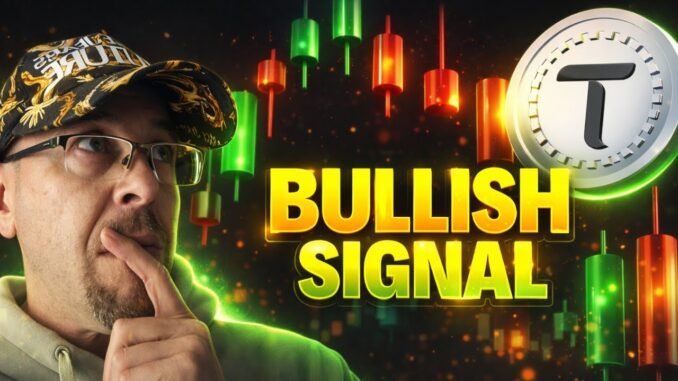 Bittensor Support Holds | What's Next for TAO?