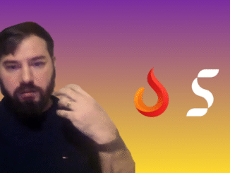 Excerpt from Subnet Summer AMA with Flamewire (Subnet 97)