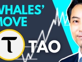 Bittensor (TAO) Price Wyckoff Analysis: What Are Whales Doing?
