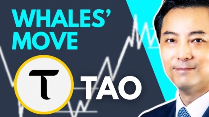 Bittensor (TAO) Price Wyckoff Analysis: What Are Whales Doing?