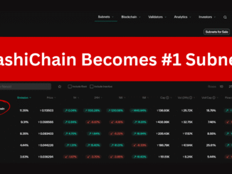 HashiChain Surpasses Chutes, Becomes #1 Bittensor Subnet Within 24 Hours of Launch