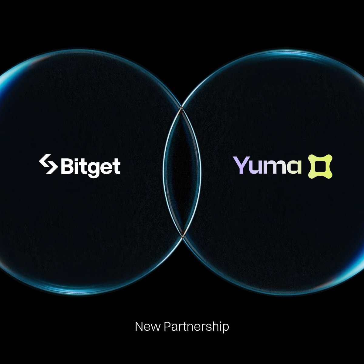Bitget Partners With Yuma to Expand TAO Staking Access