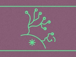 Culture as a Trust Signal