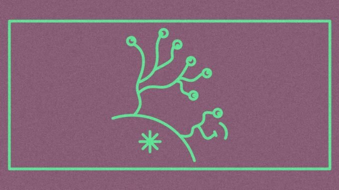 Culture as a Trust Signal