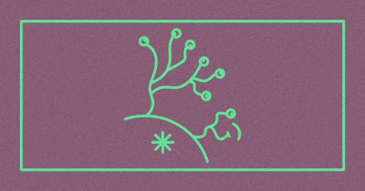 Culture as a Trust Signal