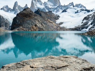 Venice Just Trained Its Flagship Uncensored Model on Bittensor