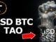 How $TAO is the Next Evolution of Money: From Proof of Violence to Proof of Useful Work