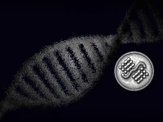 How Minos (SN107) Exposed a Genomics Blind Spot In Two Weeks