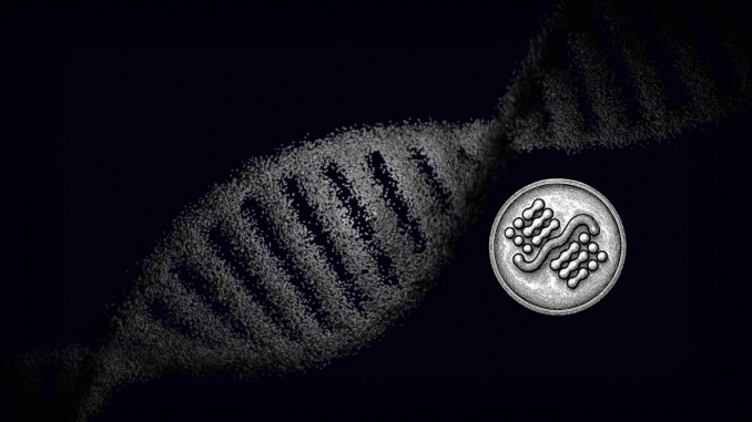 Minos How Minos (SN107) Exposed a Genomics Blind Spot In Two Weeks