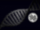 How Minos (SN107) Exposed a Genomics Blind Spot In Two Weeks