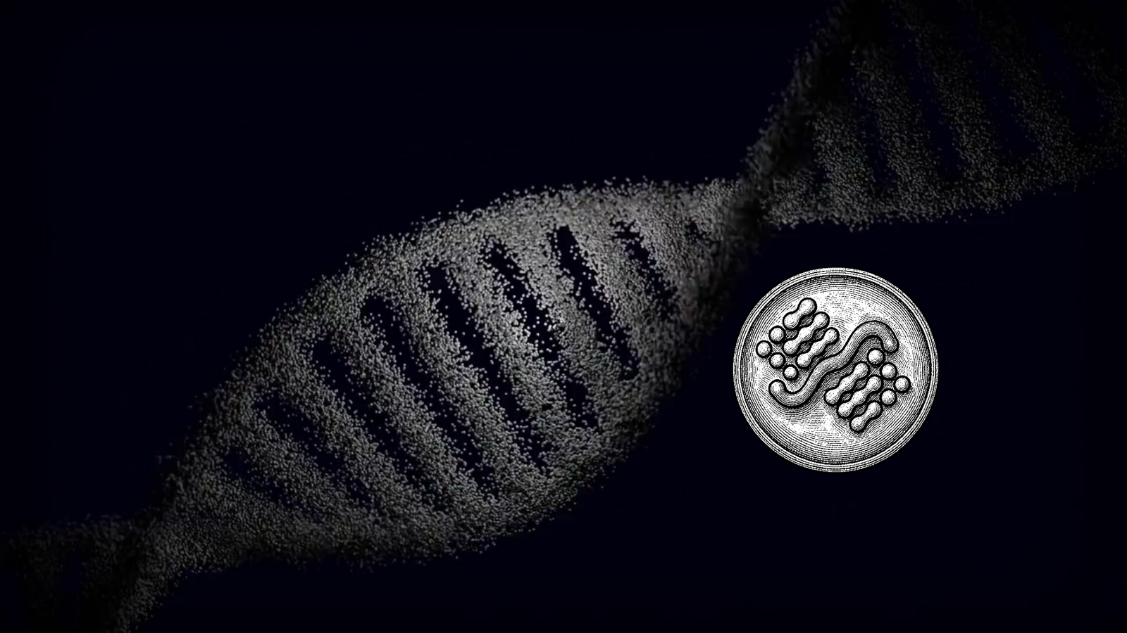 How Minos (SN107) Exposed a Genomics Blind Spot In Two Weeks