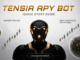 Inside Tensia APY Bittensor's New Validator Optimization Bot