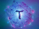 Conviction is live. Here's how to track which subnets are locking up.