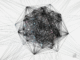 10 Things Maymin's New Paper Taught Us About Bittensor Subnets