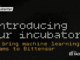 Bitstarter Opens Const-Backed ML Incubator. First Cohort Closes in June