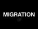 TNS Is Shutting Down. Here's How Holders Migrate