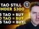 Three Reasons TAO Shouldn't Be Under $300