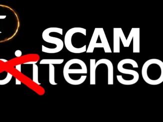 Is Bittensor (TAO) A Ponzi Scheme?