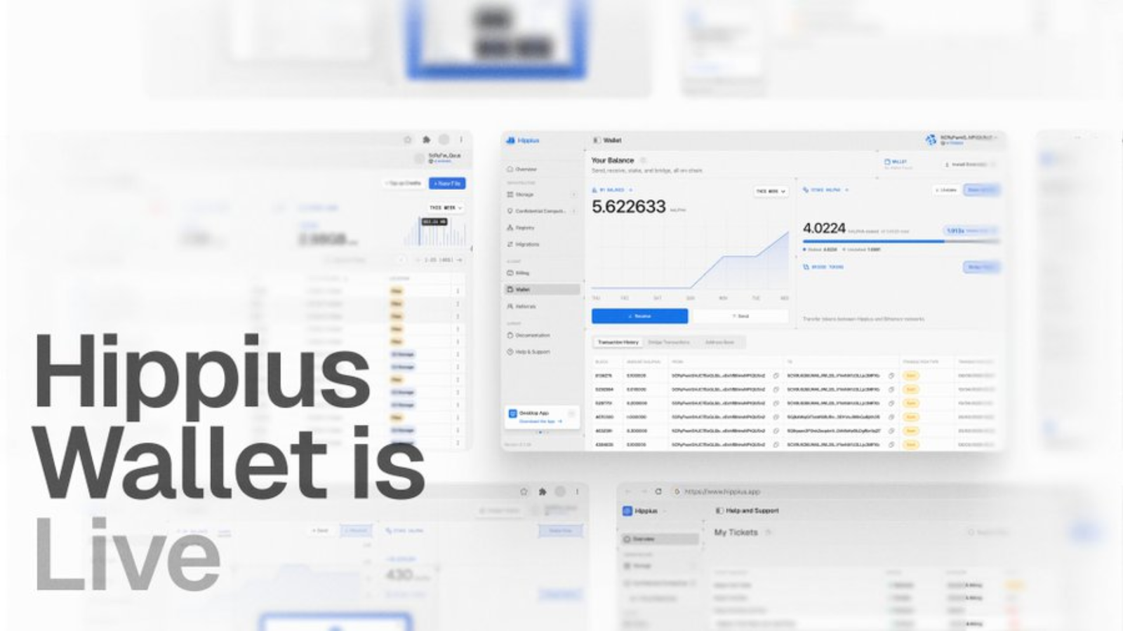 Hippius Wallet Is the New Destination for hALPHA Management